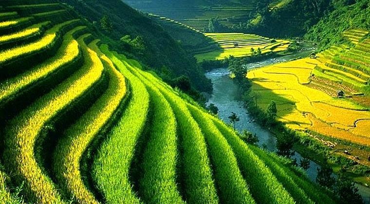 Warisan Indonesia Yang Sudah Diakui Dunia